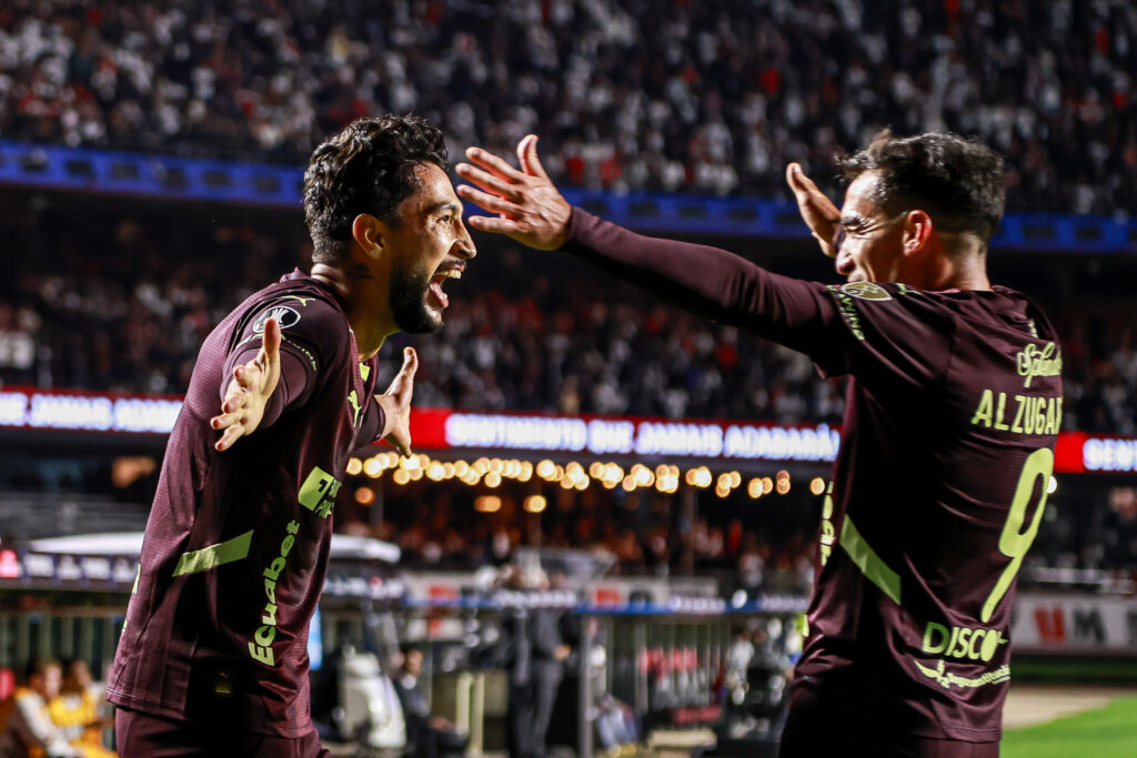 LDU 