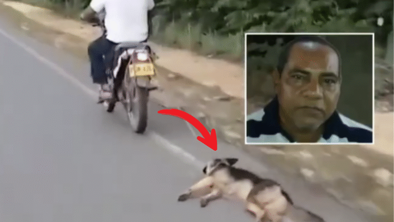 Concejal de Ayapel Grabado Arrastrando a un Perro con su Moto