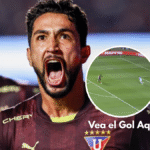 LDU