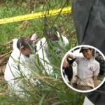 Feminicidio en Comuna 13 de Medellín: asesino es hallado muerto Feminicidio comuna 13 Medellín
