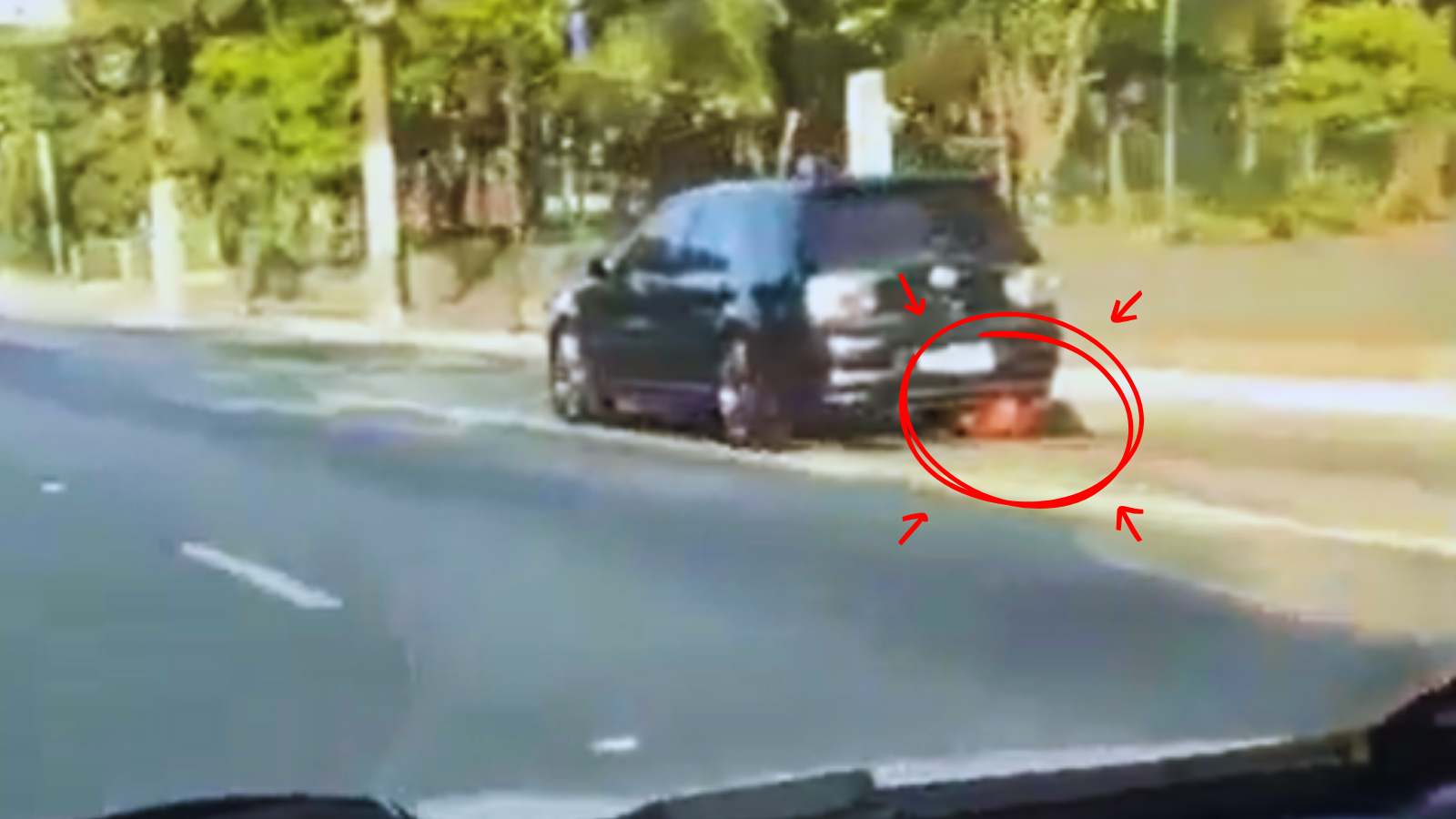 atropellan mujer São Paulo