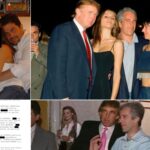 Revelan archivos Epstein